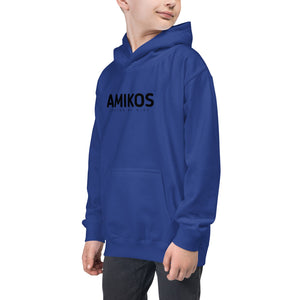 Sudadera niño AMIKOS